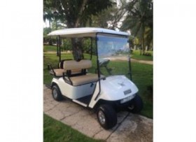 Carritos De Golf en PR - Venta de Carritos De Golf Puerto Rico